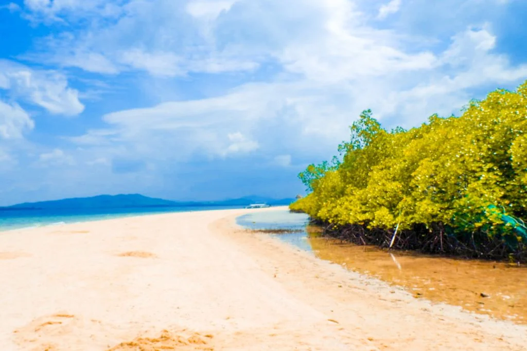 ALT="diy puerto princesa el nido tour"