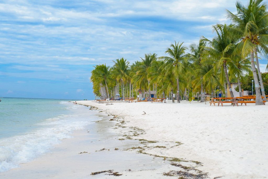 ALT="dumaluan beach resort bohol island"