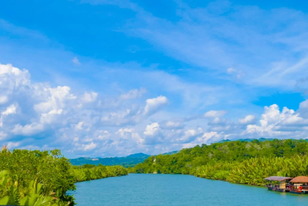 ALT="bohol loboc river guide"