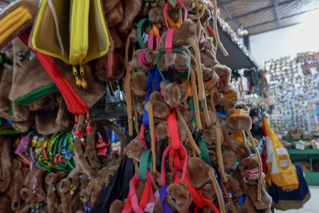 ALT="souvenir shop sandugo tagbilaran"