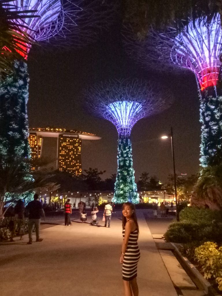 ALT="singapore travel guide gardens by the bay"