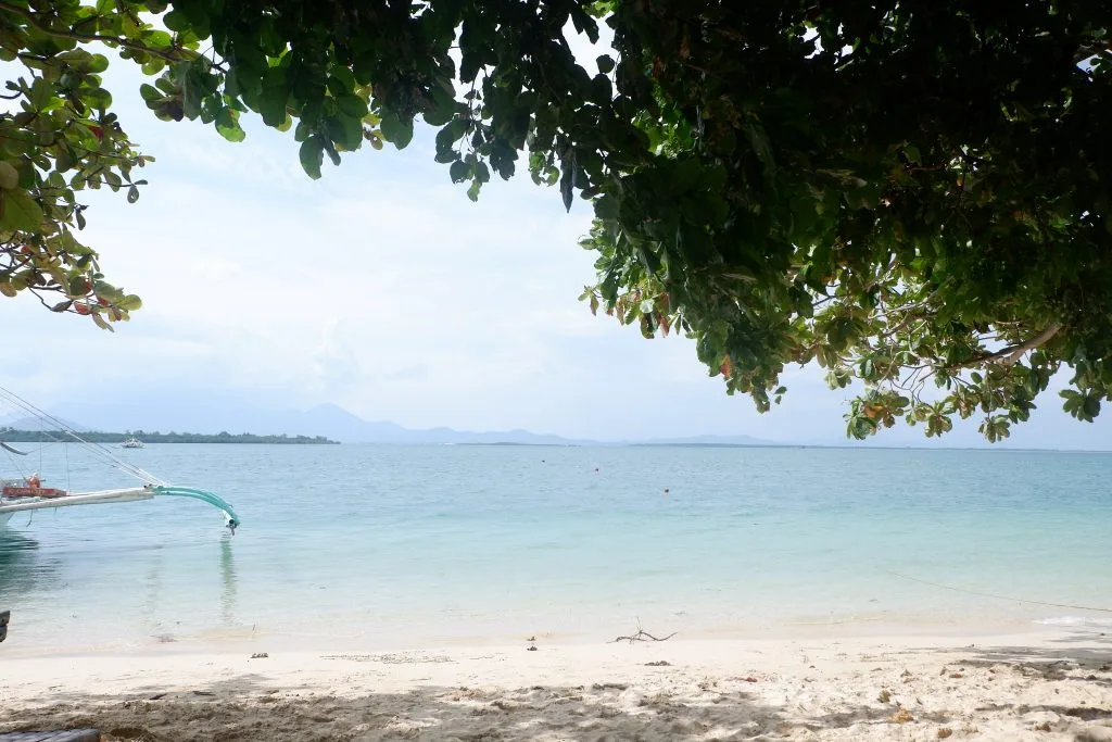 ALT="cowrie island palawan honday bay"