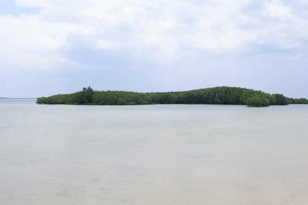 ALT="honda bay palawan luli island hopping"