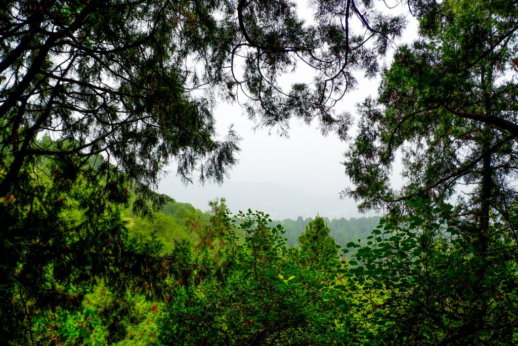 ALT="go hiking at fragrant hills beijing"