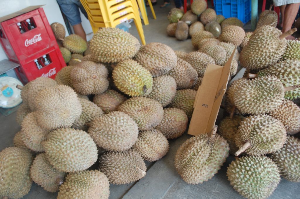 ALT="durian davao del sur food"