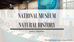 Discover Philippine Biodiversity At The National Museum of Natural History