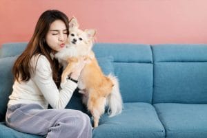Bonding With Your Fur Baby During the COVID-19 Pandemic