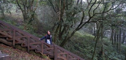 solo travel guide to alishan