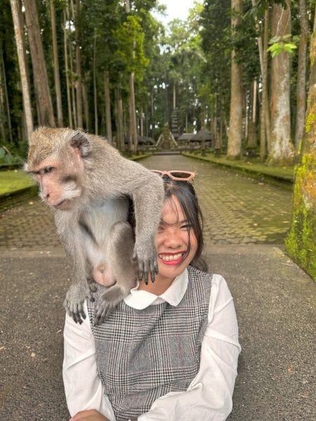 monkey forest bali indonesia