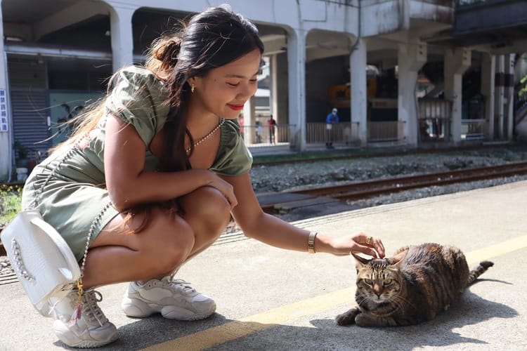 how to get to cat village from taipei