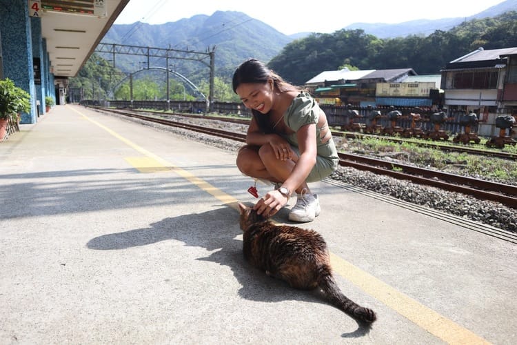 how to get from taipei main station to cat village