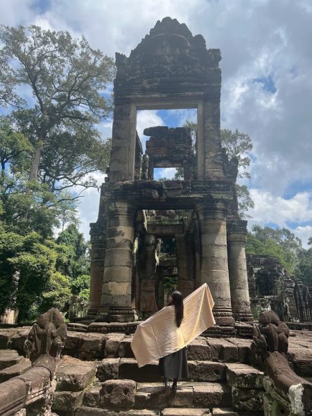 a day tour pass to angkor