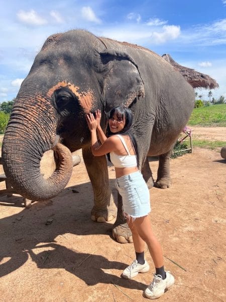 the elephant sanctuary pattaya thailand