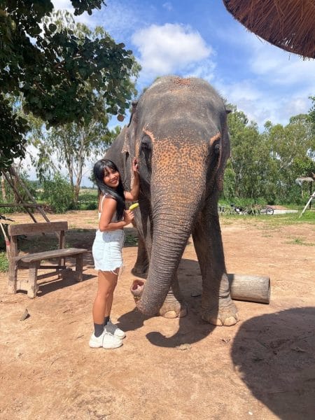 elephant sanctuary pattaya