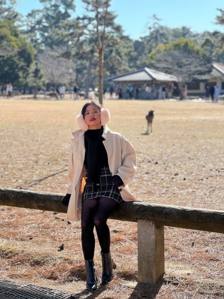 visiting nara prefecture to meet deer