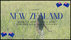 How to Apply for a New Zealand Tourist Visa for Filipinos: A DIY Guide