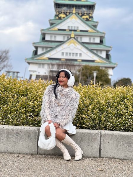 osaka castle day tour