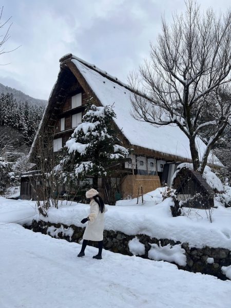 a traditional house at shirakawa-go