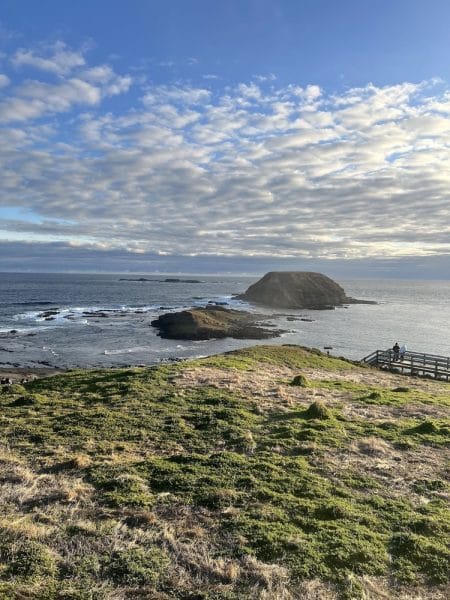 phillip island tour with penguin parade