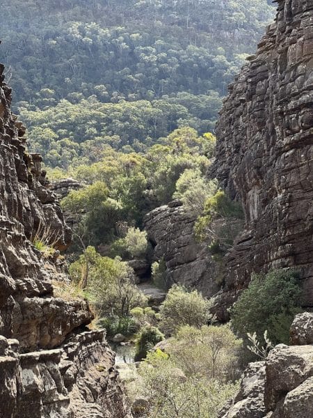 grampians national park day tour