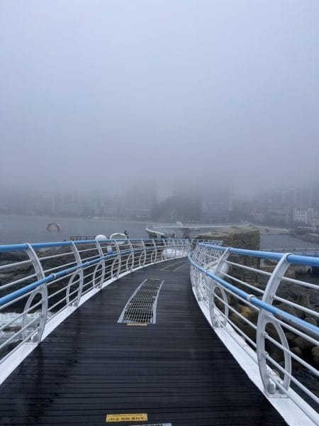 top things to do in busan south korea