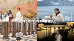 5 Best Day Trips from Seoul You Can’t Miss