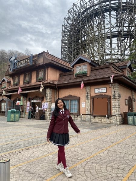 t express train at everland
