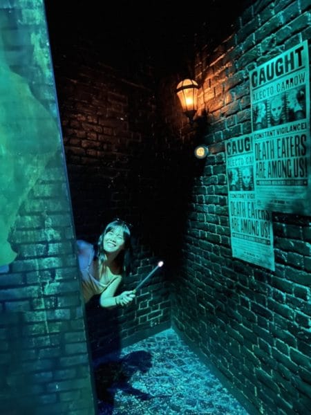 the harry potter exhibition in singapore