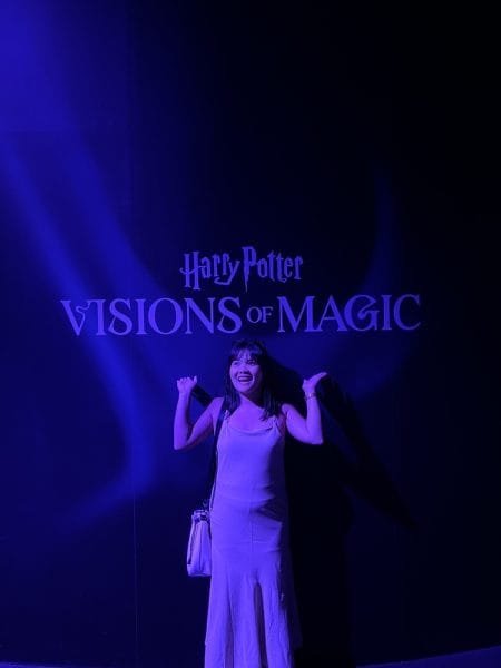 harry potter visions of magic in singapore