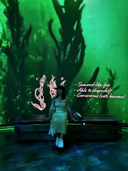 harry potter visions of magic sentosa island