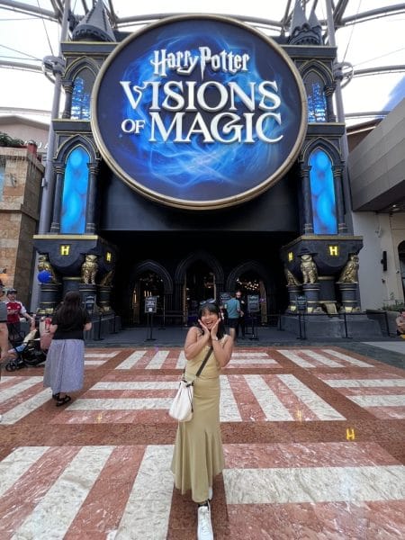 harry potter visions of magic