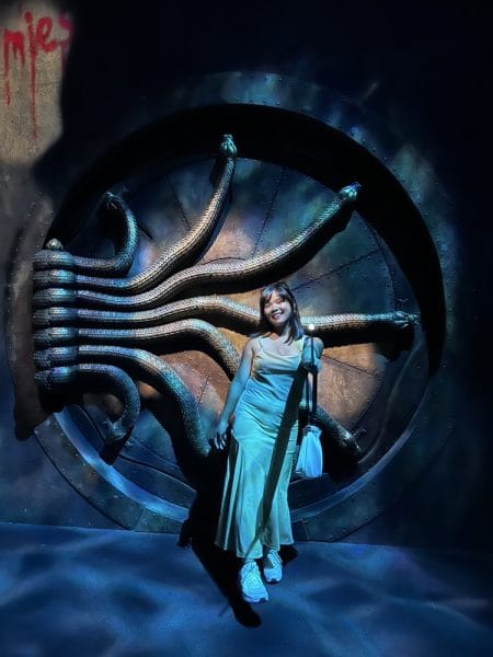 the chamber of secrets