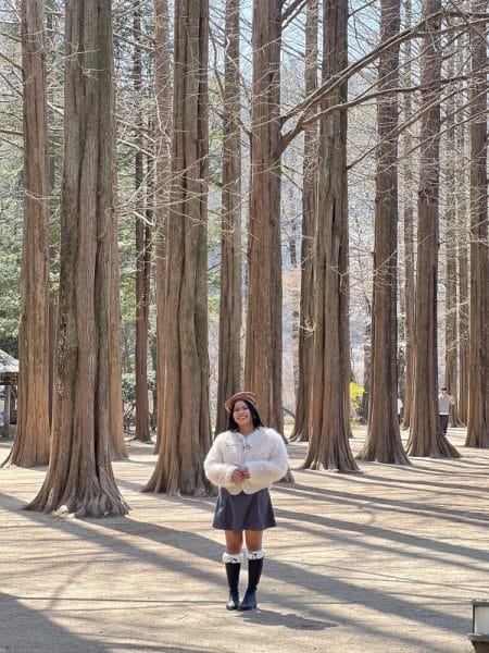 a day trip to nami island