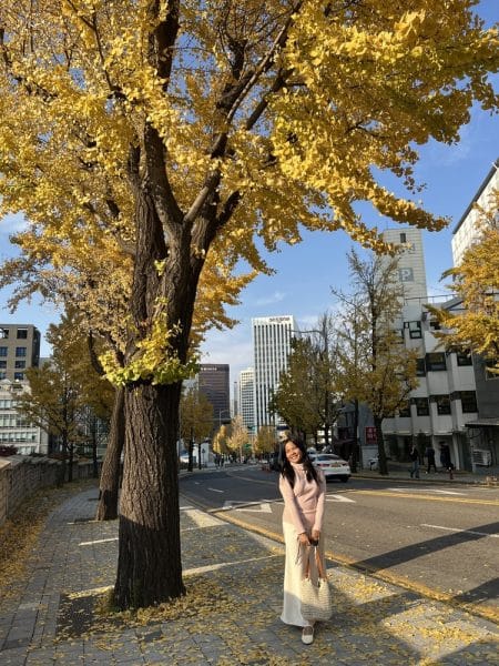 14 day south korea itinerary