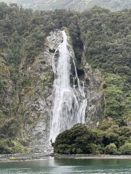 fiordland national park nz