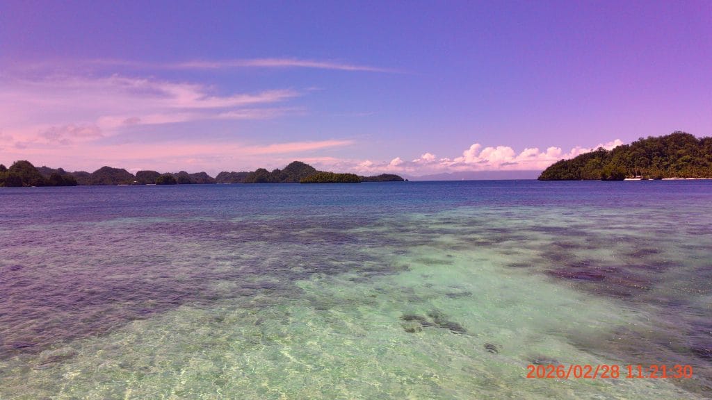 honest review for lumos evoke digital camera